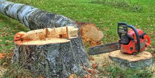 Best Commercial Tree Services  in Blountsville, AL