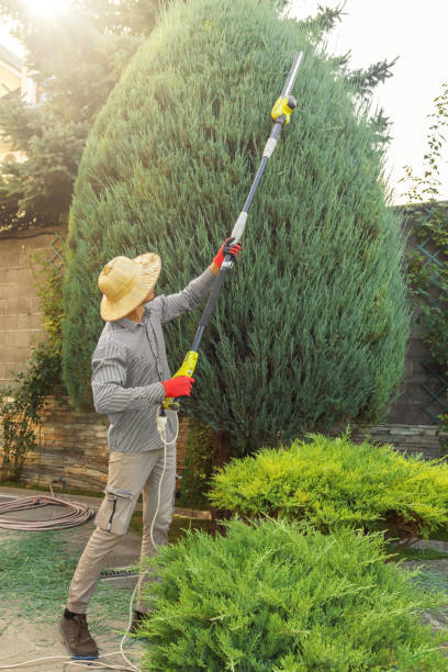 Best Hazardous Tree Removal  in Blountsville, AL